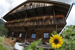 B&B in agriturismo Voltan Haus