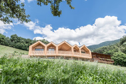 Chalets Niederthalerhof