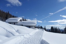 Mountain hut with rooms Rinfreddo