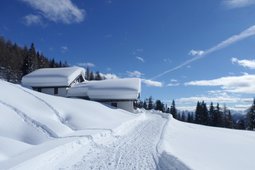 Berghütte Rinfreddo