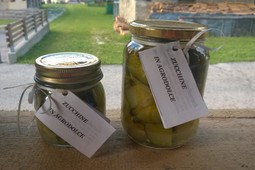 Farm Fontana