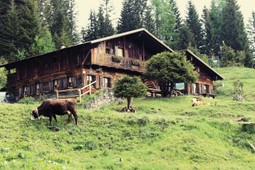 Berghütte mit Zimmern Forcella Zovo