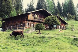 Mountain hut with rooms Forcella Zovo