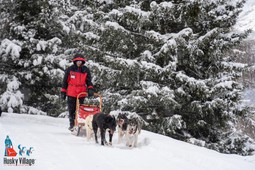 Sleddog Center Husky Village