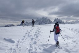 Dolomites Guide