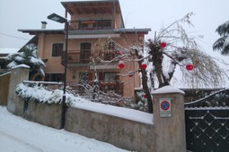 Ferienwohnungen Haus Möltner