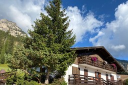 Ferienwohnung Chalet Relax