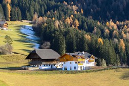 Farmhouse apartments Putzerhof
