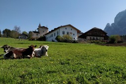 Hofschänke Zimmerlehen