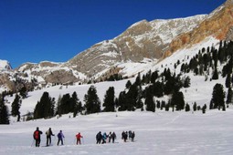 Ausflugsleiter Monica Dandrea