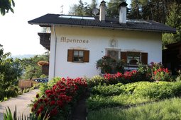 Ferienwohnungen Haus Alpenrose