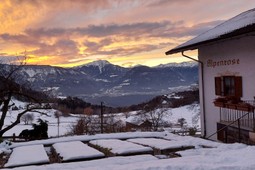 Ferienwohnungen Haus Alpenrose