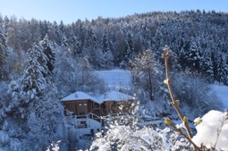 Ferienwohnungen Schlossblick