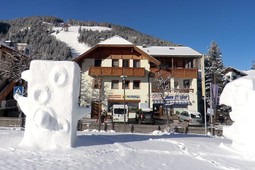 Appartamenti Dolomites & Dolasilla