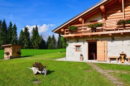 Bed & Breakfast Armonia