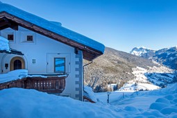 Residence Chalet Alpina