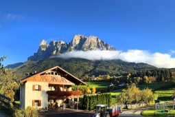 Farmhouse B&B + Apartments Mesnerhof