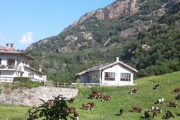 Farmhouse Hotel Le Rocher Fleurì