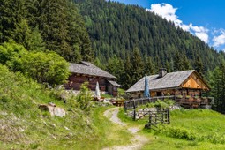 Malga Bergeralm