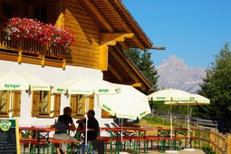 Malga Capanna / Neuhütt