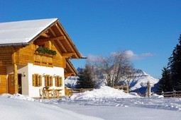 Malga Capanna / Neuhütt