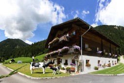 Ferienwohnungen auf dem Bauernhof Örlerhof
