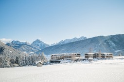 Hotel Alpen Tesitin