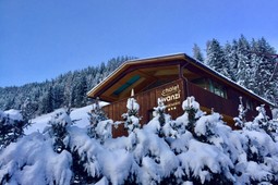 Apartments Chalet Vanzi