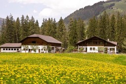 Farmhouse Hotel Ciasa Pradel