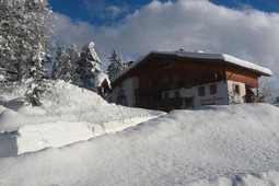 Pension + Ferienwohnungen auf dem Bauernhof Chalet Frapes