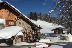 Appartamento in baita Monti