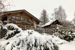 Appartamento in baita Mandrett