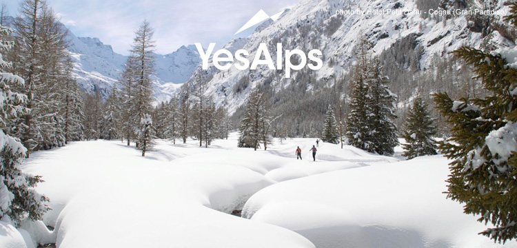 Snowy landscapes + magic in the air
