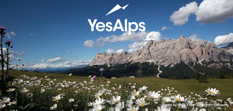 Are you looking for picture-perfect Alpine views?