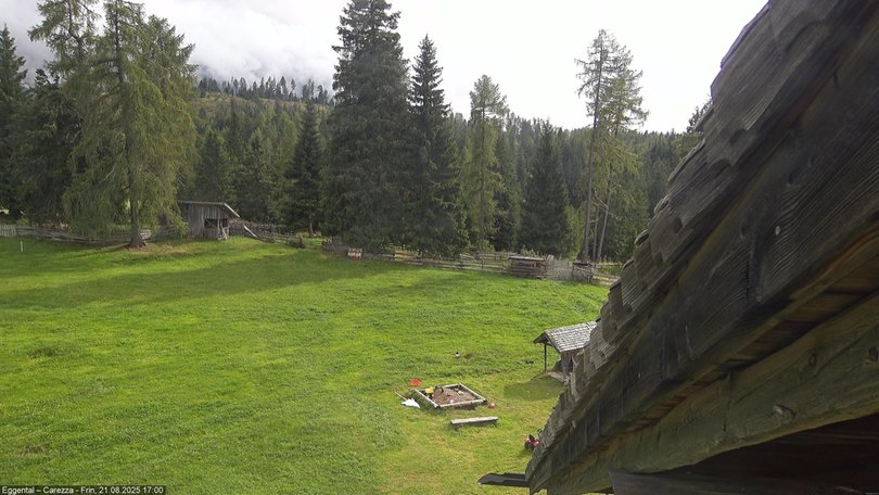 Webcam towards the Catinaccio / Rosengarten and the Latemar Groups