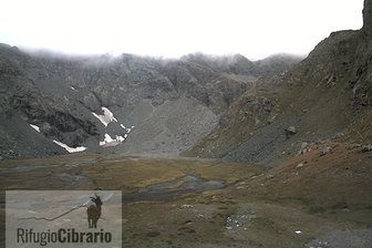 Webcam from the Luigi Cibrario Refuge on the Peraciaval basin
