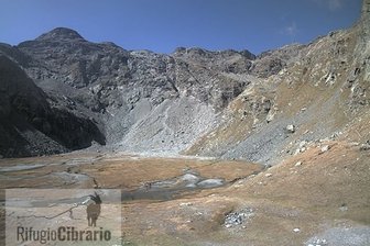 Webcam von der Berghütte Luigi Cibrario auf das Peraciaval-Becken