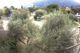 Webcam des CamperStopTorbole in Richtung Monte Brione
