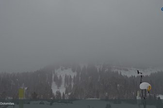 Webcam verso il Latemar e il Catinaccio