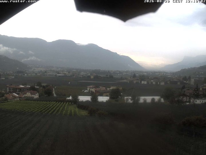Webcam Meran und Etschtal